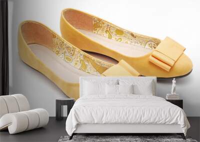 flat shoe Wall mural