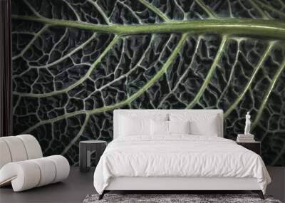 Feuille de Chou en gros plan Wall mural