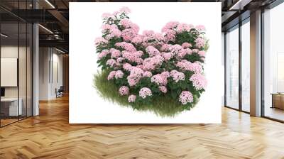 Field of grass with flowers on transparent background. 3d rendering - illustration Wall mural