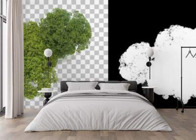 Forest isolated on background with mask. 3d rendering - illustration Wall mural