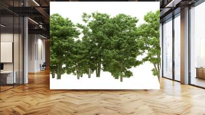 Green forest isolated on background. 3d rendering - illustration Wall mural