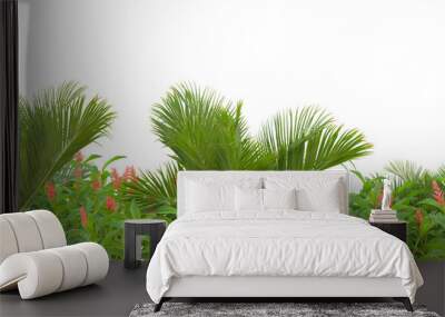 Tropical forest isolated on transparent background. 3d rendering - illustration Wall mural