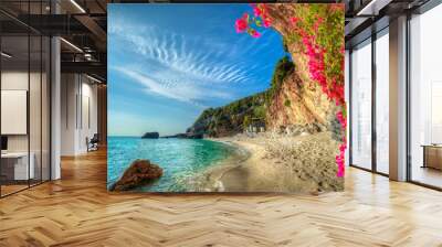 beautiful vacation landscape in greece, sea and beach in summer holiday in corfu island Wall mural