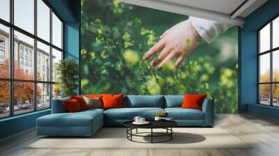 Close up hand of woman dressed in linen touching blossoming yellow wild flowers in a flower field	 Wall mural