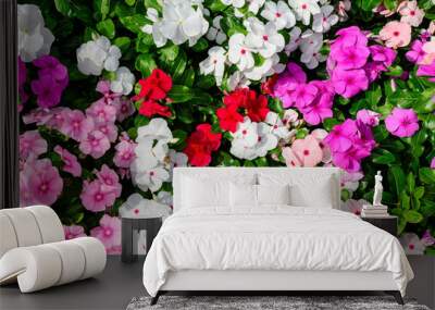 Large garden pot with vivid pink, red and white Impatiens walleriana flowers known as  busy Lizzie, balsam, sultana, or impatiens, in full bloom in a summer garden. Wall mural