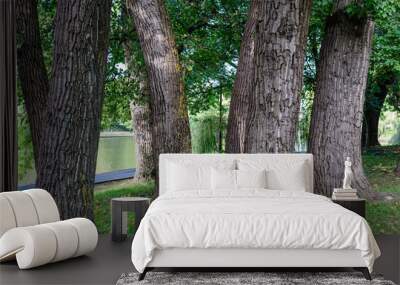 Monochrome natural background of old trees with grey textured bark in a park in a sunny summer day. Wall mural