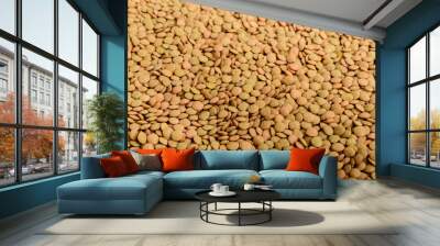 Natural background of many fresh organic green lentil beans in warm light, top view Wall mural