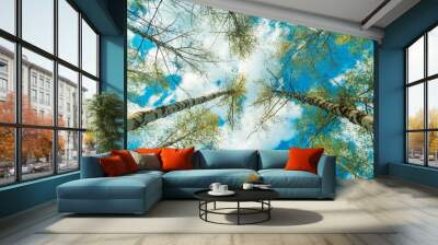 Low and wide angle view birch tree forest blue sky white fluffy clouds Wall mural