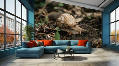 Snail on a leaf after rain Wall mural