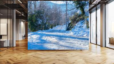 snowy road Wall mural