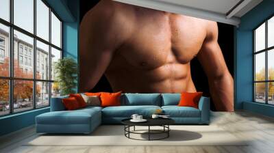 Perfect naked male torso against black background Wall mural