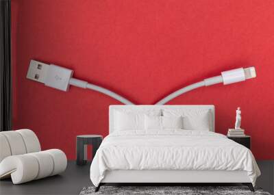 USB cables on red background Wall mural