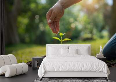 man hand watering a sapling growing in germination sequence on fertile soil, seed and planting concept with Male hand watering young tree over green background Wall mural