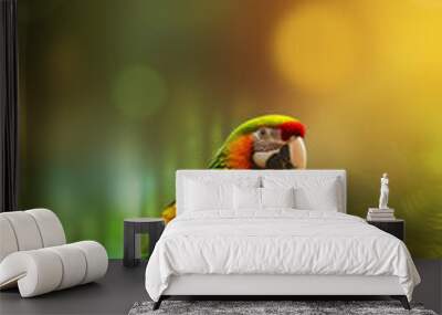 exotic parrot on a branch, colorful macaw, ara in the jungle, tropical bird in rainbow colors, rainforest background with space for text, generative ai Wall mural