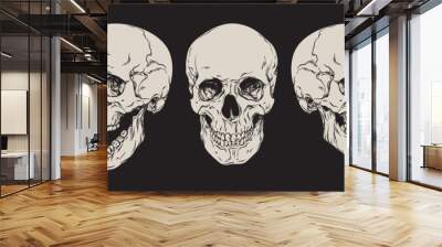 Anatomically correct human skulls set isolated. Hand drawn line art vector illustration Wall mural