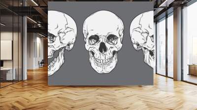 Anatomically correct human skulls set isolated. Hand drawn line art vector illustration Wall mural