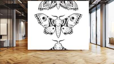 Hawk moths hand drawn line art gothic tattoo design set isolated vector illustration Wall mural