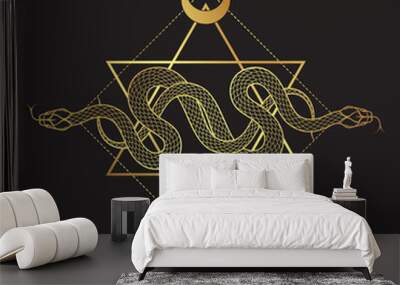 Two gold serpents over the six pointed star line art boho chic tattoo, poster, tapestry or altar veil print design vector illustration. Wall mural