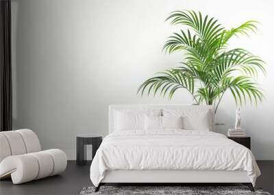 Indoor White Background with Potted Arecaceae Plant Wall mural