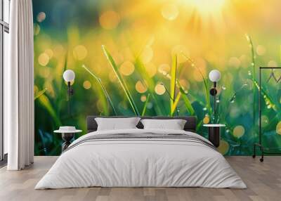 Morning dew on fresh grass at sunrise Wall mural