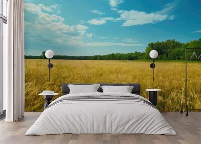 Oat field with forest and blue sky in the background Wall mural