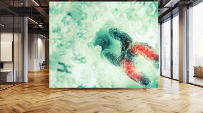 Chromosome on scientific background Wall mural