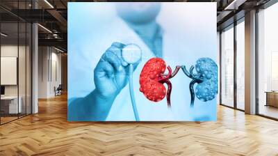 Doctor check and diagnose the diseased kidney on medical background. 3d illustration Wall mural