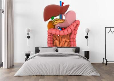 Human digestive system Wall mural