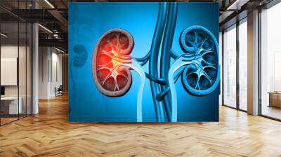 Human Kidney Disease. Medical organ. Cross section. 3d illustration Wall mural