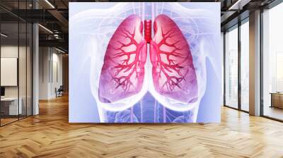 Human Lungs anatomy on scientific background. 3d illustration Wall mural