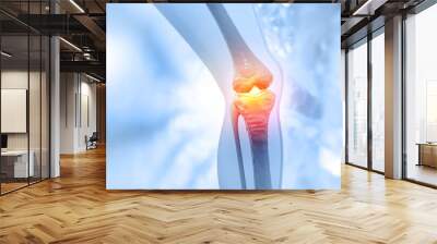 pain in knee joint. tendon problems and joint inflammation on medical background. 3d illustration Wall mural