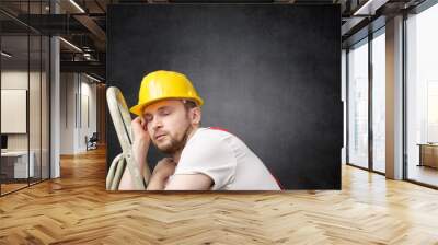 Lazy worker with ladder Wall mural