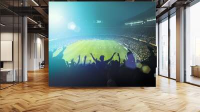 crowded football stadium Wall mural