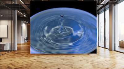 Water drop falling on a cup full with water Wall mural