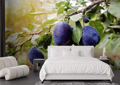 Beautiful Plum Branch on the Tree Wall mural