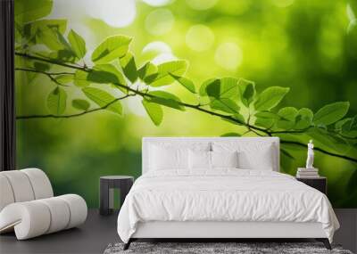 Close-up of  green foliage on a tree branch with soft sunlight  Wall mural