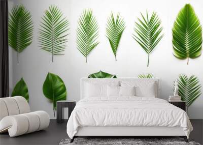 Different tropical leaves,Collection of green palm leaves Isolated on white background, Wall mural