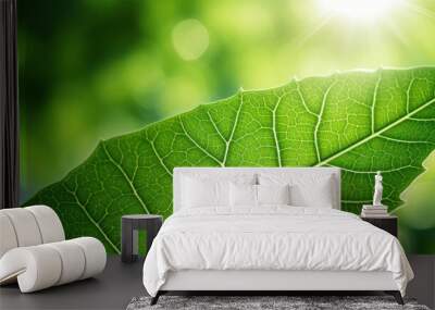 green leaf , summer garden greenery, with a blurred background  Wall mural