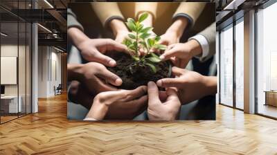 group of business colleagues holding a budding plant growing out of soil in their hands Wall mural