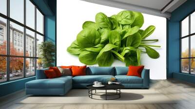 organic fresh vegetables,fresh baby spinach leaves on white backgroundl,	 Wall mural