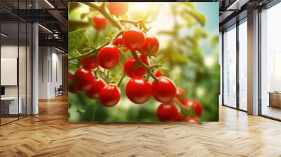 tomato plant with vibrant red fruit,  Wall mural