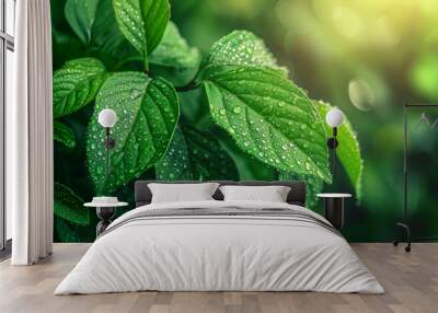 A close-up of fresh green leaves glistening with morning dew, in a summer garden at sunrise. Wall mural