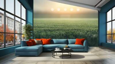 A field of grass with a bright sun shining on it Wall mural