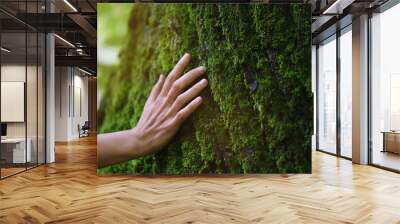 Touch of fresh moss in the forest Wall mural