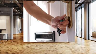 Close-up of woman's hand unlocking house door with key Wall mural