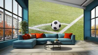 Soccer football on corner kick line of ball and a soccer field with background texture Wall mural