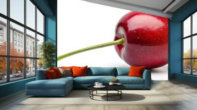 Draw a cherry with a rounded body, stem protruding from the top, and a small indentation in the center where the stem meets the fruit. Wall mural