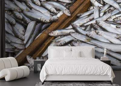 Abundance of fresh fish on market display. Wall mural