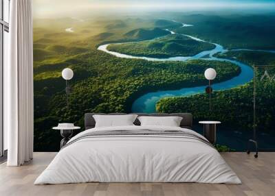 Aerial view of Amazon rainforest jungle with river Wall mural