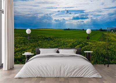 Aerial view of green agriculture field in Jura region, Silesian Voivodeship. Poland. Wall mural